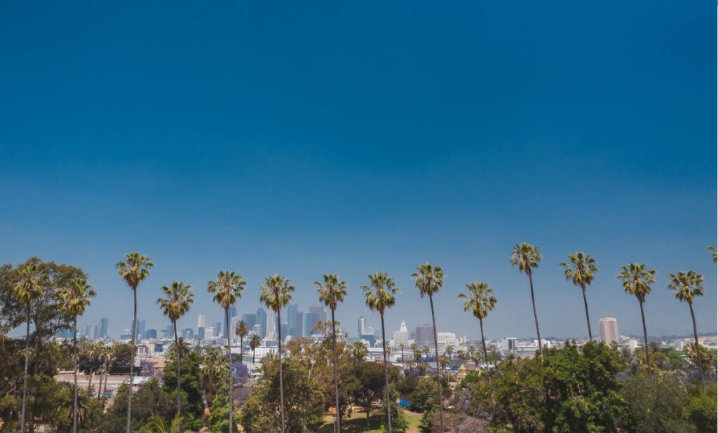 Seværdigheder i Los Angeles - Palmer - Rejs Dig Lykkelig