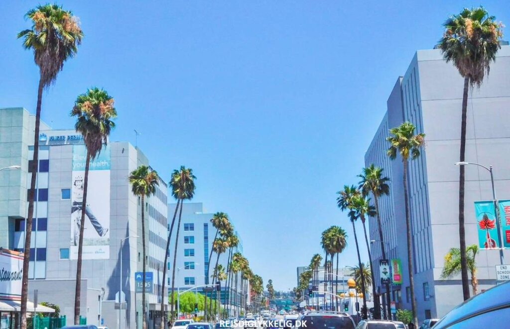 Sunset Strip - Rejs Dig Lykkelig