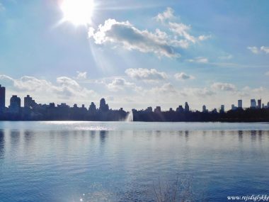 De bedste seværdigheder i Central Park - Rejsdiglykkelig.dk