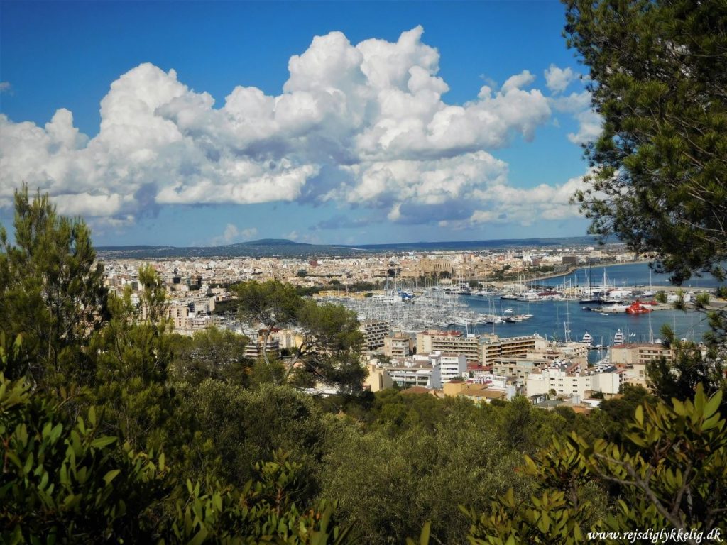 18 oplevelser på Mallorca - Palma de Mallorca - Rejsdiglykkelig.dk
