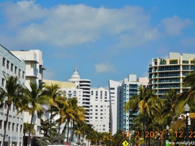 Rejseguide til Miami - Rejsdiglykkelig.dk