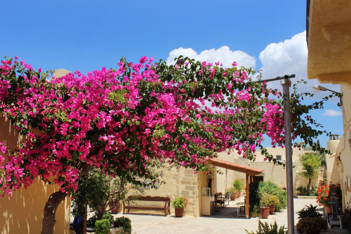 12 Oplevelser på Kreta - Preveli-klostret - Rejs Dig Lykkelig