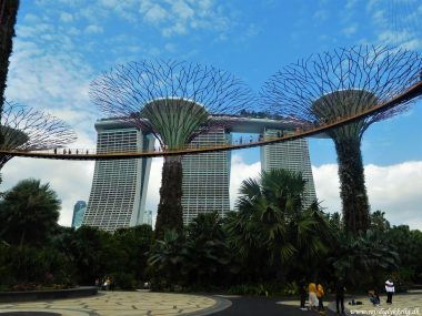 Guide til at komme fra Changi Airport til Singapore - Rejsdiglykkelig.dk