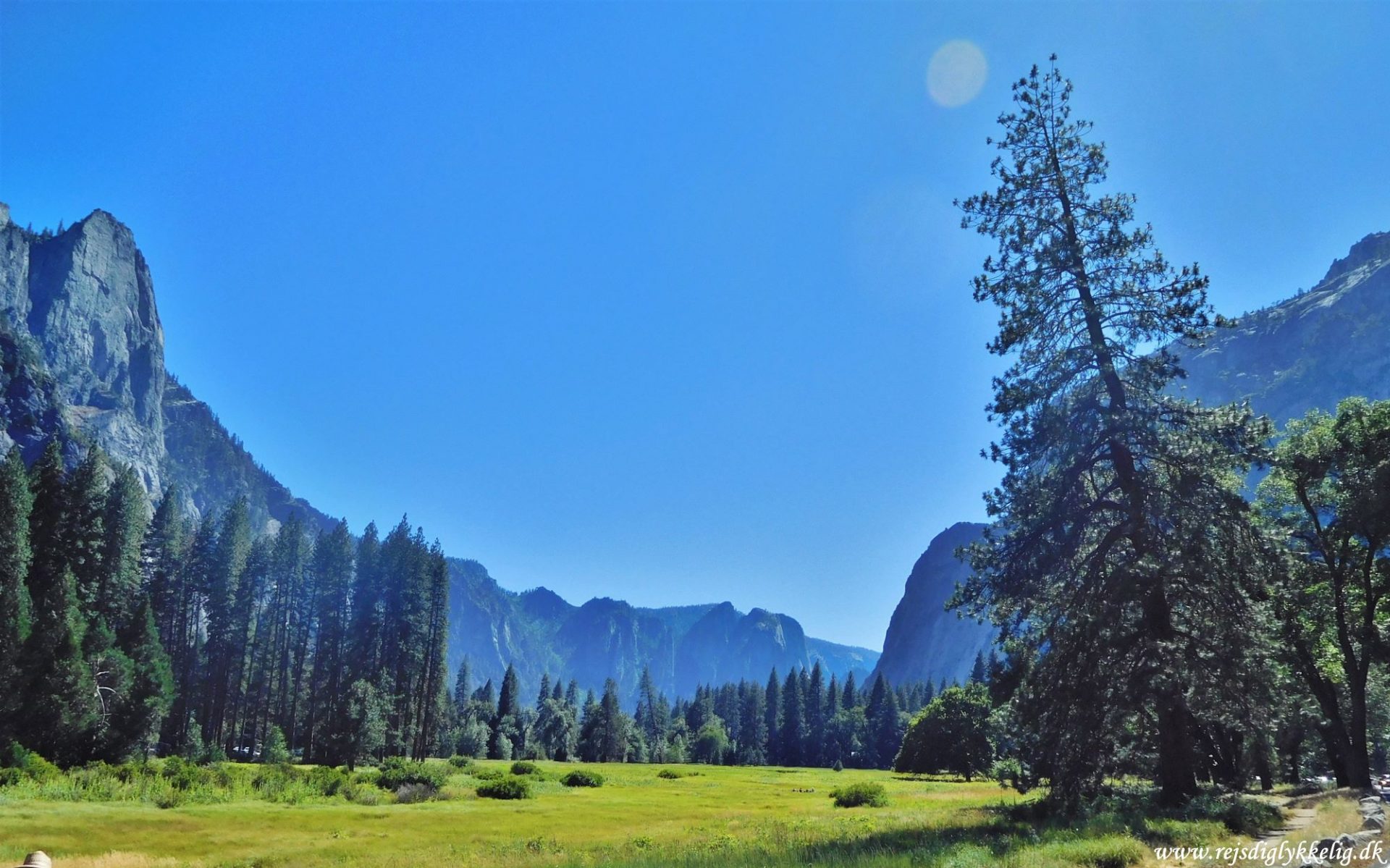 12 af de bedste national parker i USA -Yosemite National Park - Rejsdiglykkelig.dk