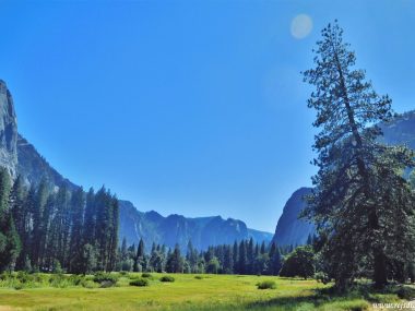 12 af de bedste national parker i USA -Yosemite National Park - Rejsdiglykkelig.dk