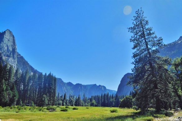 12 af de bedste national parker i USA -Yosemite National Park - Rejsdiglykkelig.dk