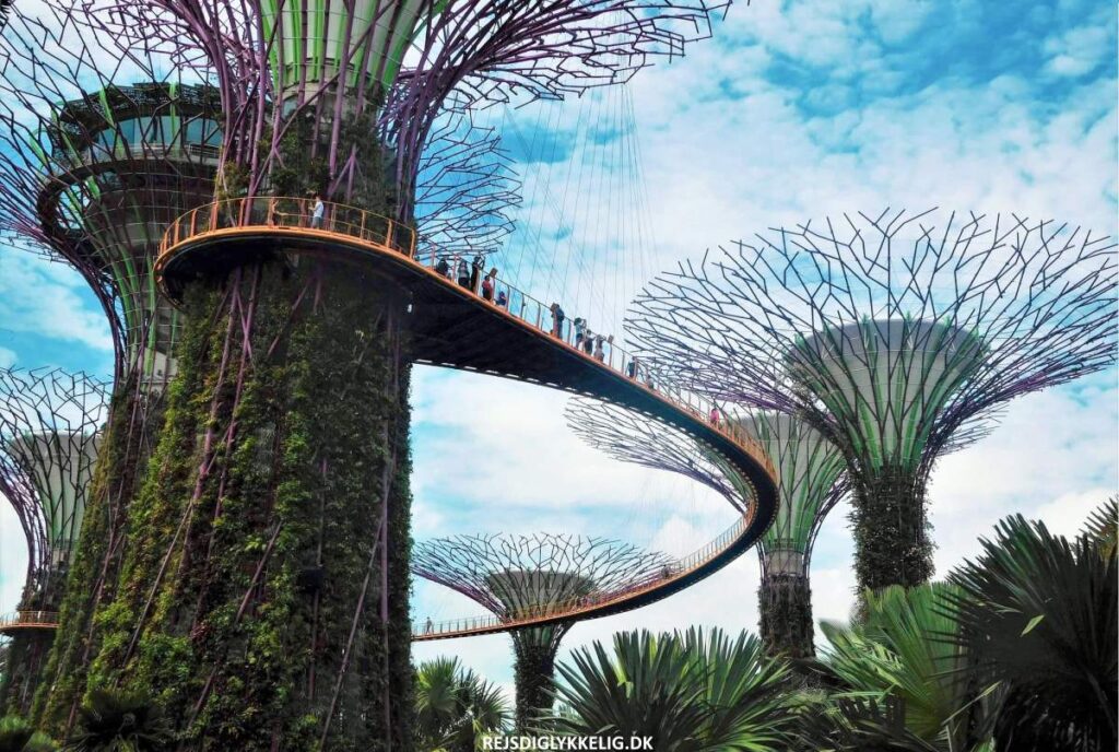 Bedste rejsetidspunkt - Rejs Dig Lykkelig