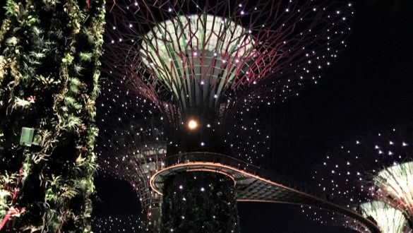 Fotodagbog fra Singapore - Garden Rhapsody - Supertræerne bliver vækket til live - Rejsdiglykkelig.dk