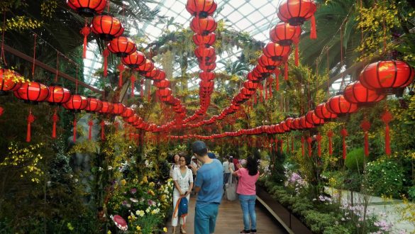 Fotodagbog fra Singapore - Inde i Flower Dome ved Gardens by the Bay - Rejsdiglykkelig.dk