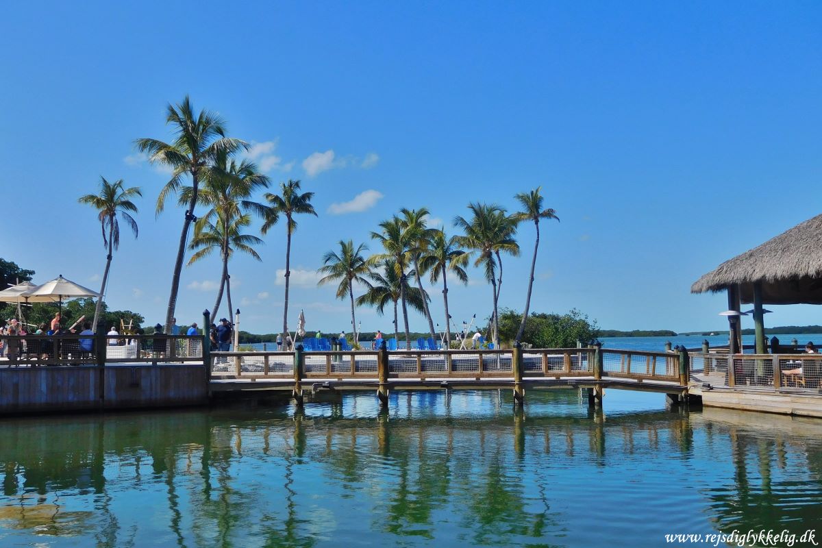 De 5 absolut bedste oplevelser i Florida - Key West - Rejsdiglykkelig.dk