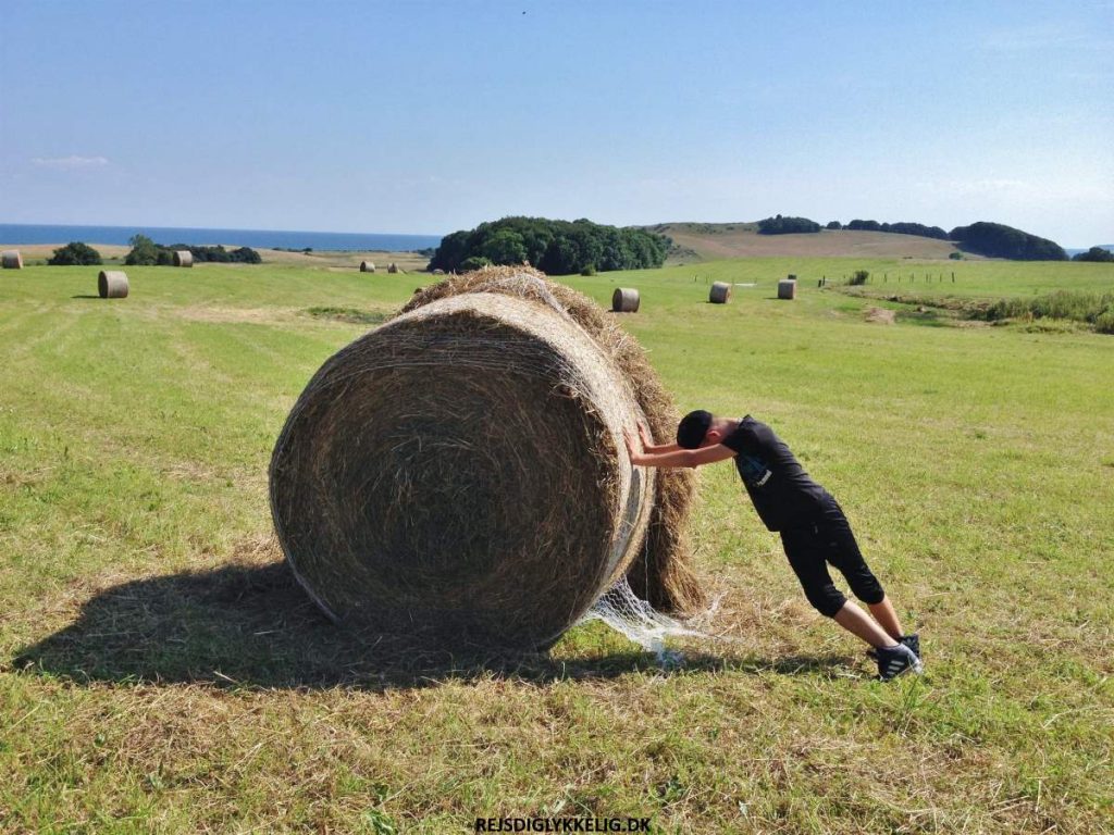 Ebeltoft Gårdbryggeri - Rejs Dig Lykkelig