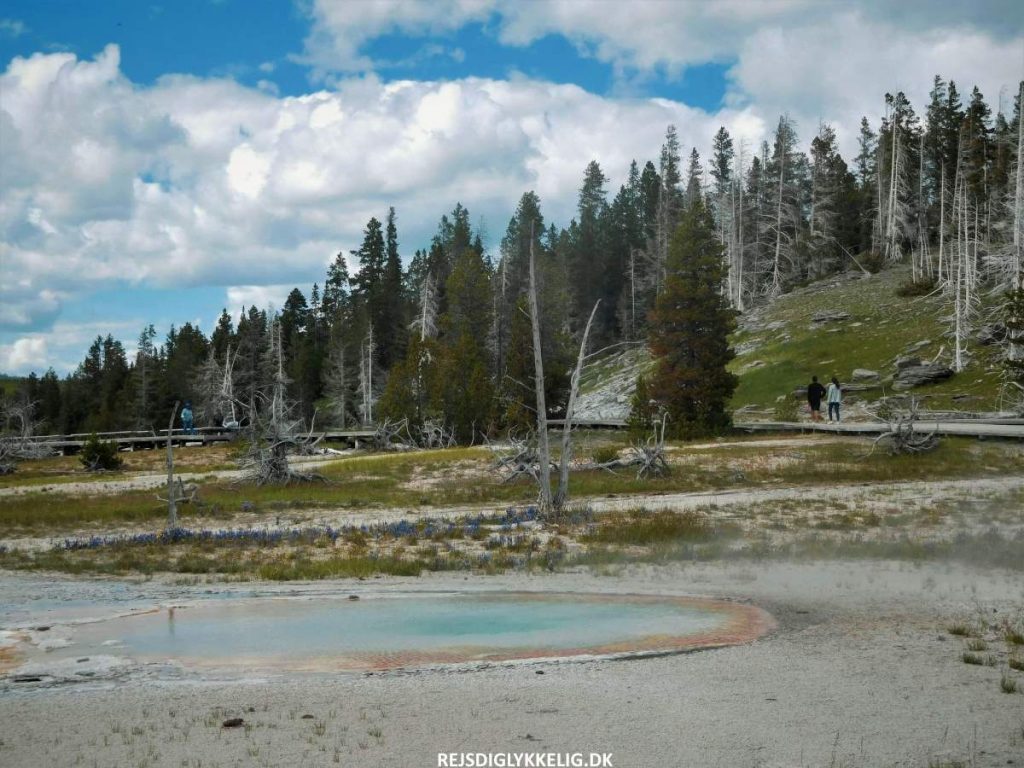 Guide til Yellowstone National Park - Det bedste tidspunkt at besøge parken - Rejs Dig Lykkelig