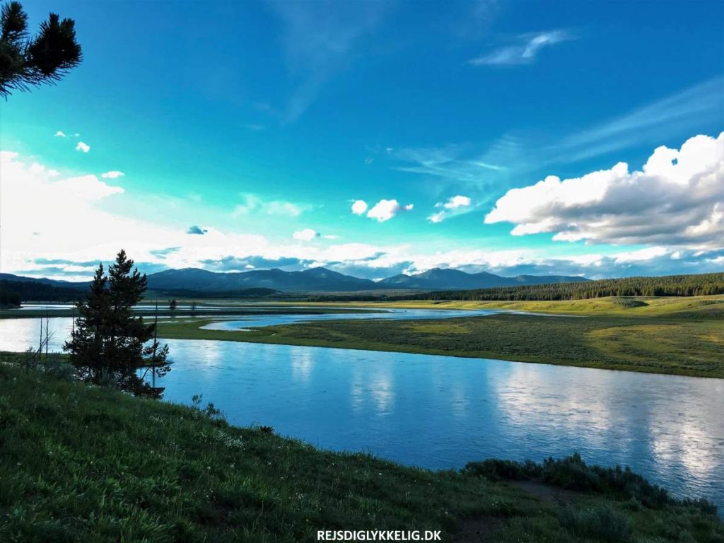 Guide til Yellowstone National Park - Hayden Valley - Rejs Dig Lykkelig