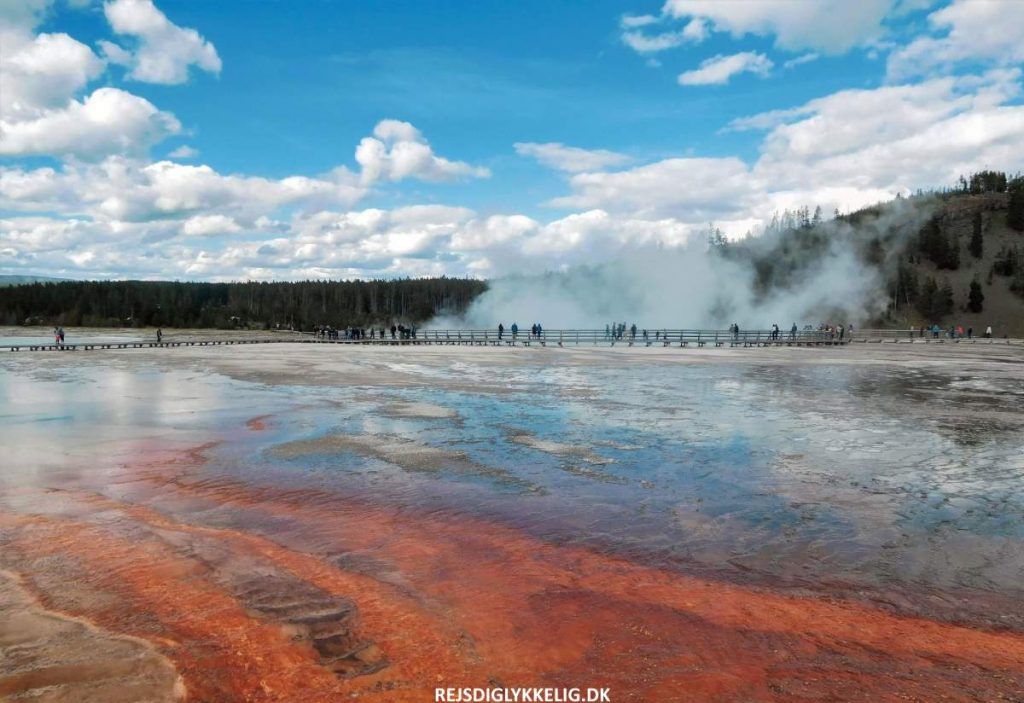 Guide til Yellowstone National Park - Indgangspris - Rejs Dig Lykkelig