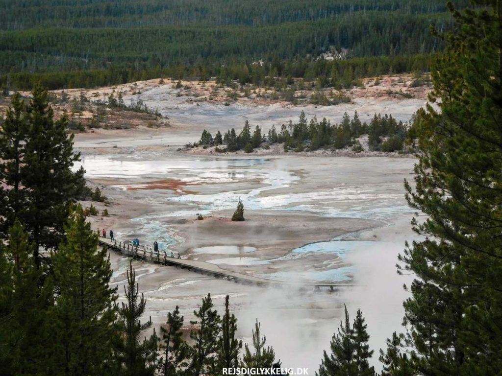 Guide til Yellowstone National Park - Norris Geyser Basin - Rejs Dig Lykkelig