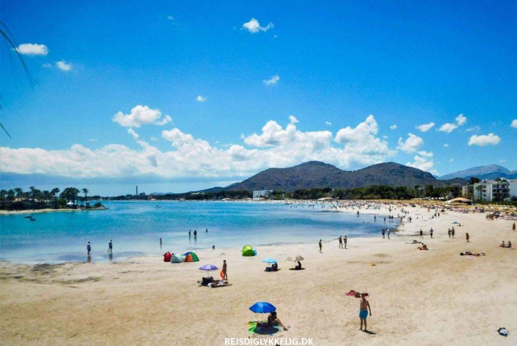 14 Oplevelser i Alcudia - Alcudia Strand - Rejs Dig Lykkelig