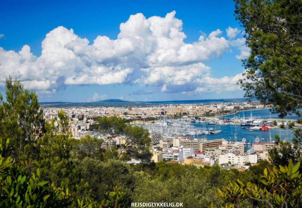 Palma de Mallorca - Rejs Dig Lykkelig