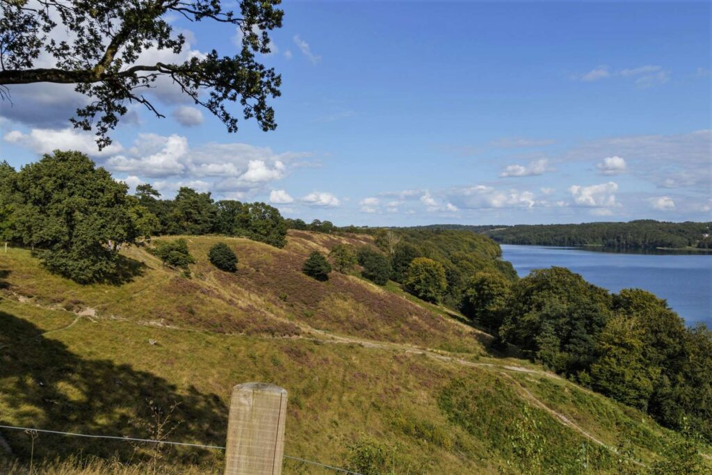 Dollerup Bakker - Rejs Dig Lykkelig