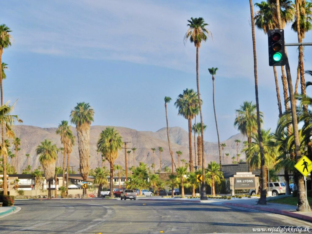 Road Trip Rute i Det Vestlige USA - Palm Springs - Rejs Dig Lykkelig Palm Springs - Rejs Dig Lykkelig