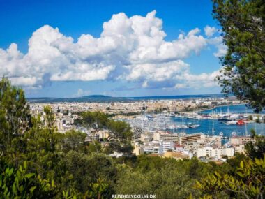 12 Seværdigheder og Oplevelser i Palma de Mallorca - Rejs Dig Lykkelig