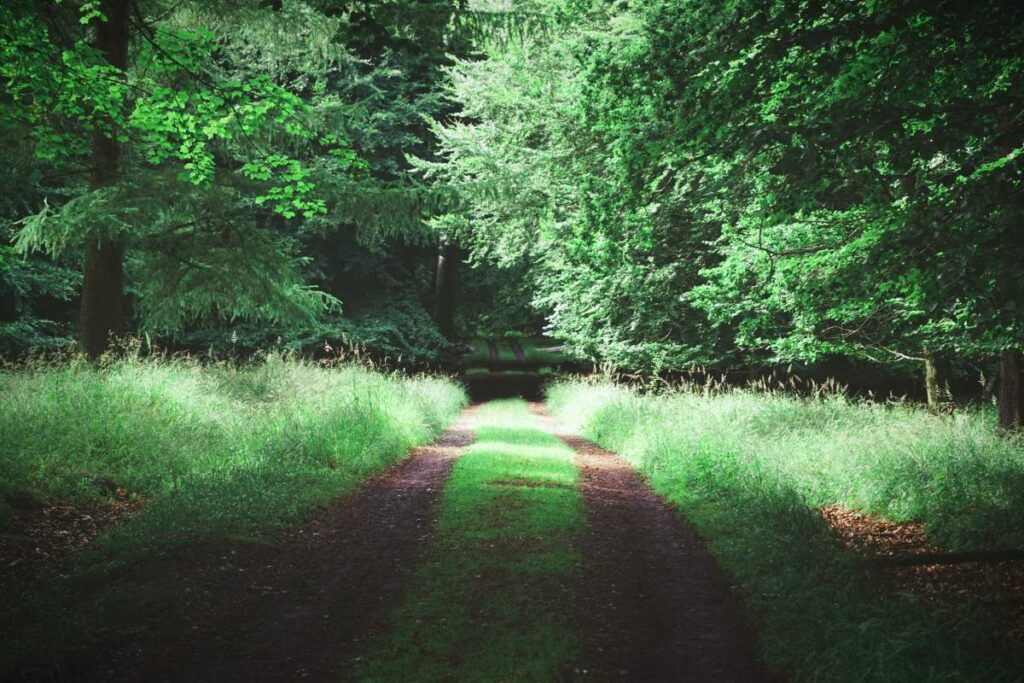 16 Must-See Seværdigheder og Oplevelser på Fyn - Svanninge Bakker - Rejs Dig Lykkelig 16 Must-See Seværdigheder og Oplevelser på Fyn - Svanninge Bakker - Rejs Dig Lykkelig