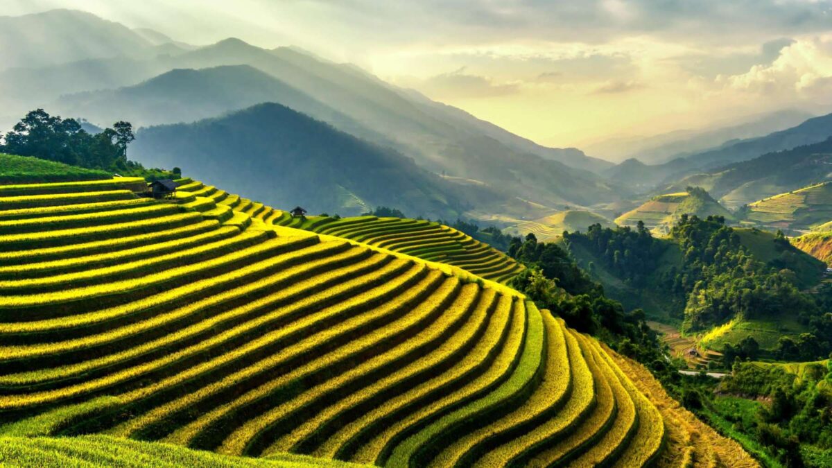 De Bedste Rejsemål i Asien: 21 Fantastiske Destinationer