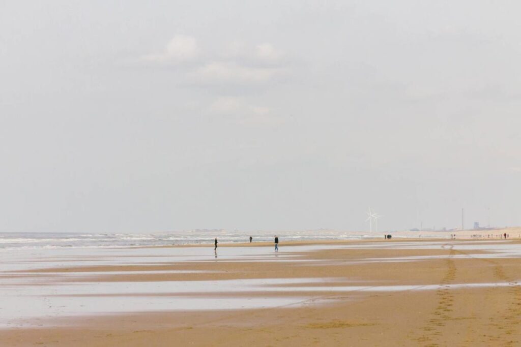 Nationalpark Vadehavet - Rejs Dig Lykkelig