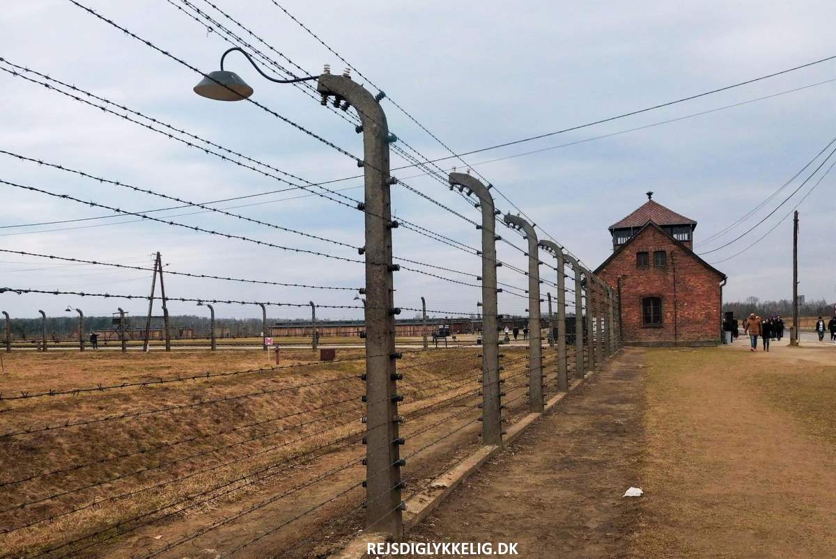 Birkenau - Rejs Dig Lykkelig