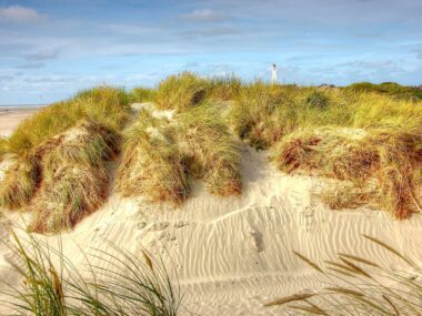 De mest populære sommerhusområder i Jylland - Blåvand - Rejs Dig Lykkelig