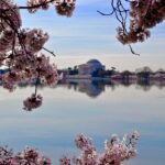 Seværdigheder og Oplevelser i Washington DC - Thomas Jefferson Memorial - Rejs Dig Lykkelig
