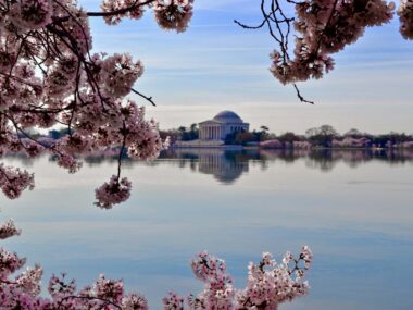 Seværdigheder og Oplevelser i Washington DC - Thomas Jefferson Memorial - Rejs Dig Lykkelig