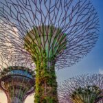 18 Seværdigheder og Oplevelser i Singapore - Supertræer - Rejs Dig Lykkelig