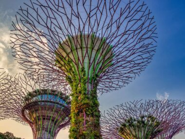 18 Seværdigheder og Oplevelser i Singapore - Supertræer - Rejs Dig Lykkelig