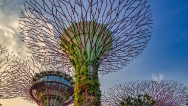 18 Seværdigheder og Oplevelser i Singapore - Supertræer - Rejs Dig Lykkelig