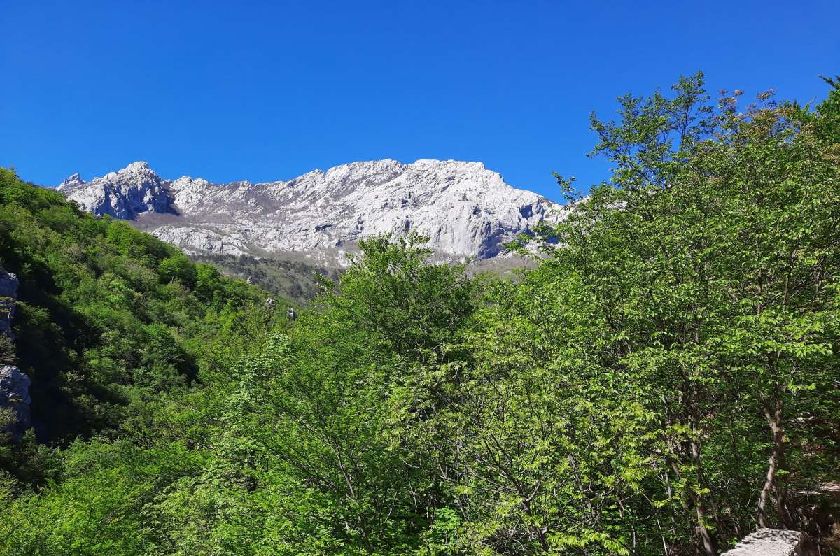 Top 10 storslåede naturoplevelser i Kroatien - Paklenica National Park - Rejs Dig Lykkelig