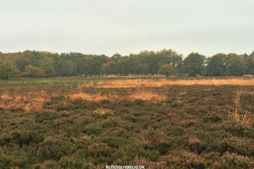 Seværdigheder og Oplevelser i Herning - Løvbakkerne - Rejs Dig Lykkelig