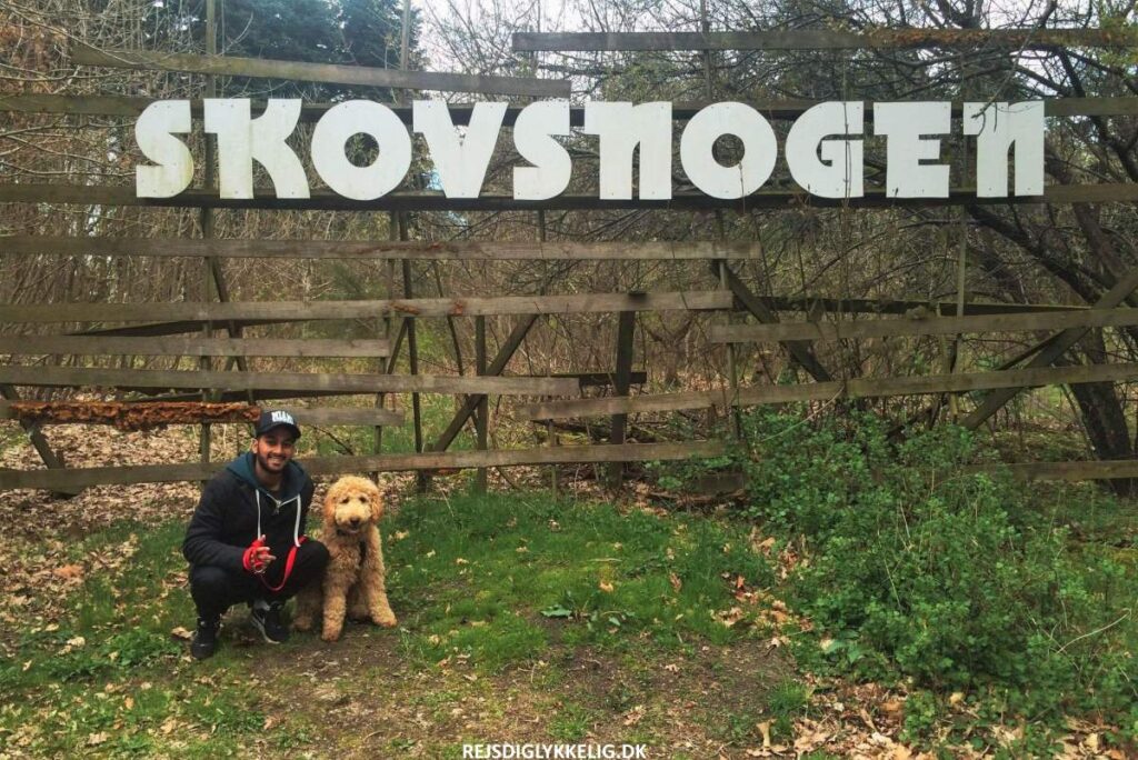 Seværdigheder og Oplevelser i Herning - Skovsnogen - Rejs Dig Lykkelig