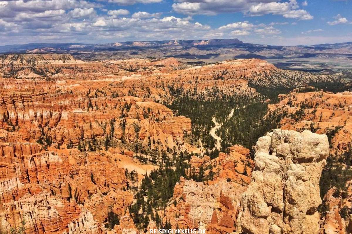 De Største Oplevelser i det Vestlige USA - Bryce Canyon National Park - Rejs Dig Lykkelig