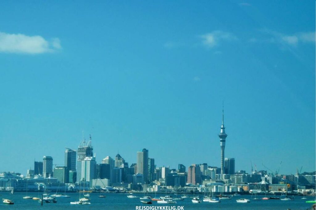 Oplevelser på Nordøen i New Zealand - Auckland - Rejs Dig Lykkelig