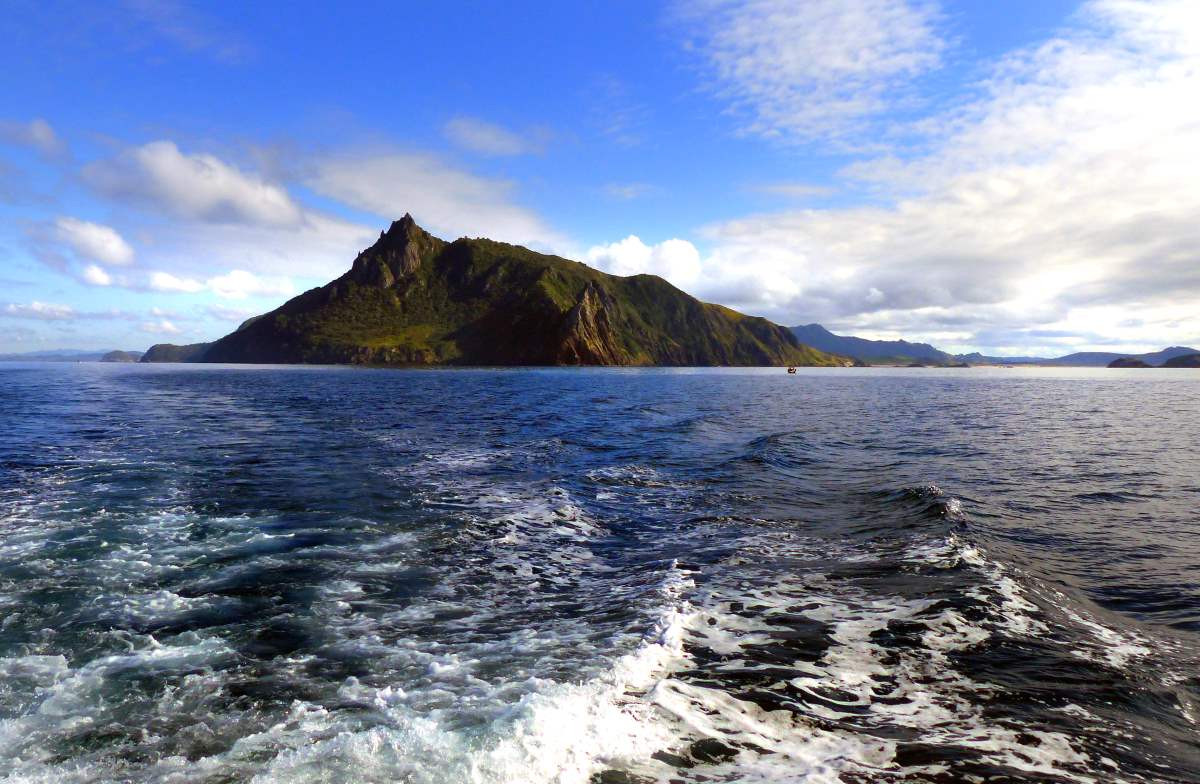 Bay of Islands - Rejs Dig Lykkelig
