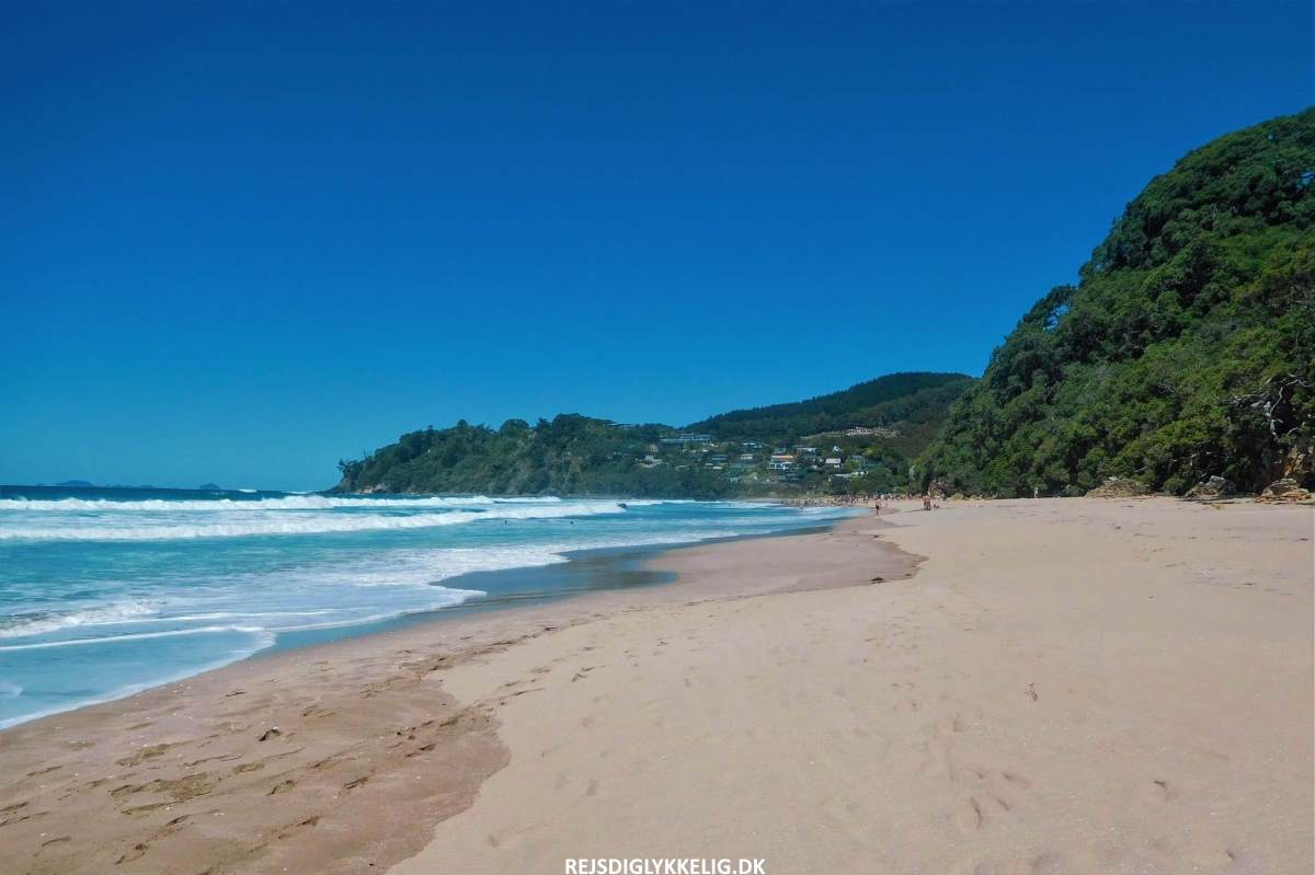 Oplevelser på Nordøen i New Zealand - Hot Water Beach - Rejs Dig Lykkelig