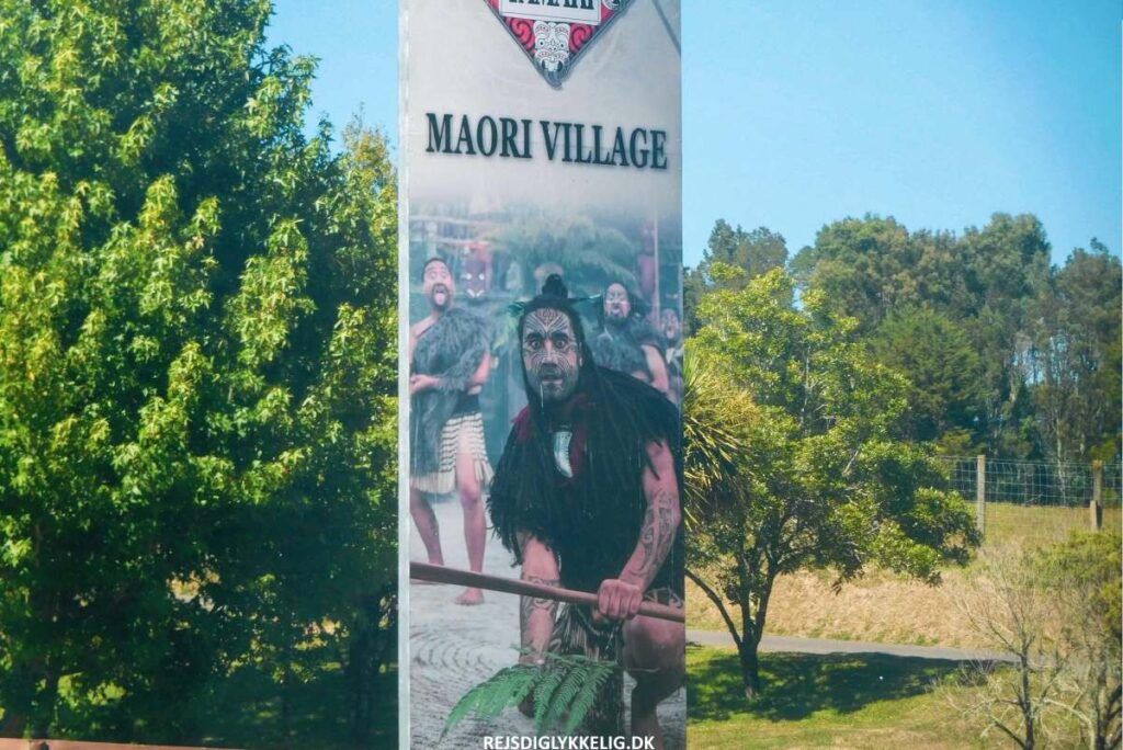 Oplevelser på Nordøen i New Zealand - Lær om Maori Kulturen - Rejs Dig Lykkelig