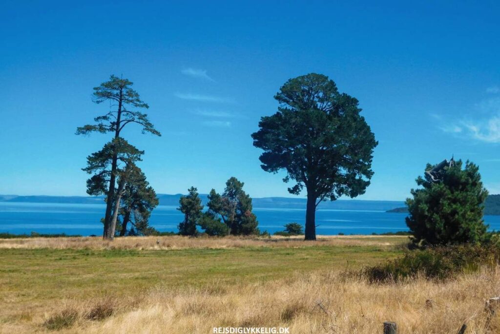 Oplevelser på Nordøen i New Zealand - Lake Taupo - Rejs Dig Lykkelig