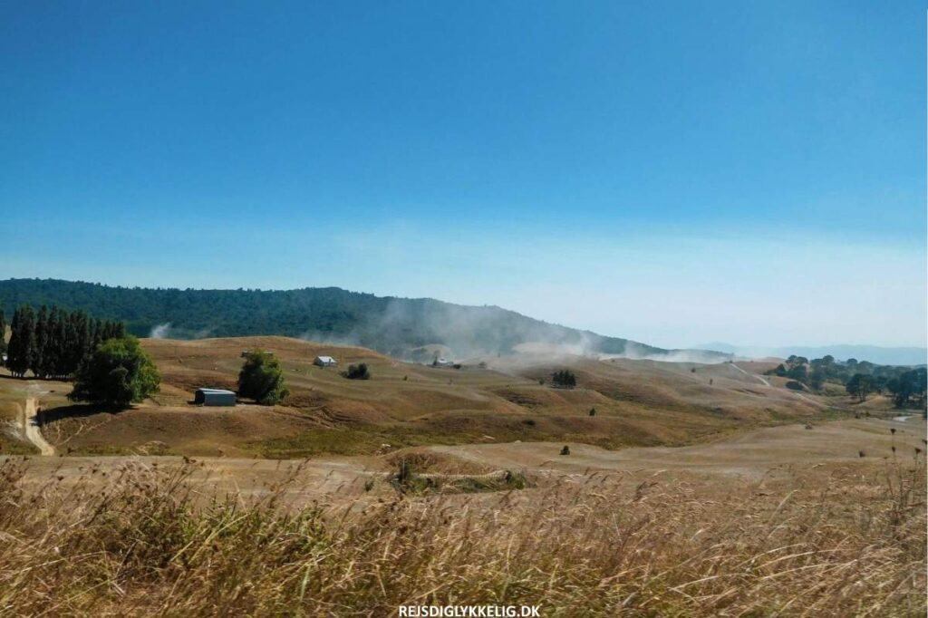 Oplevelser på Nordøen i New Zealand - Rejs Dig Lykkelig