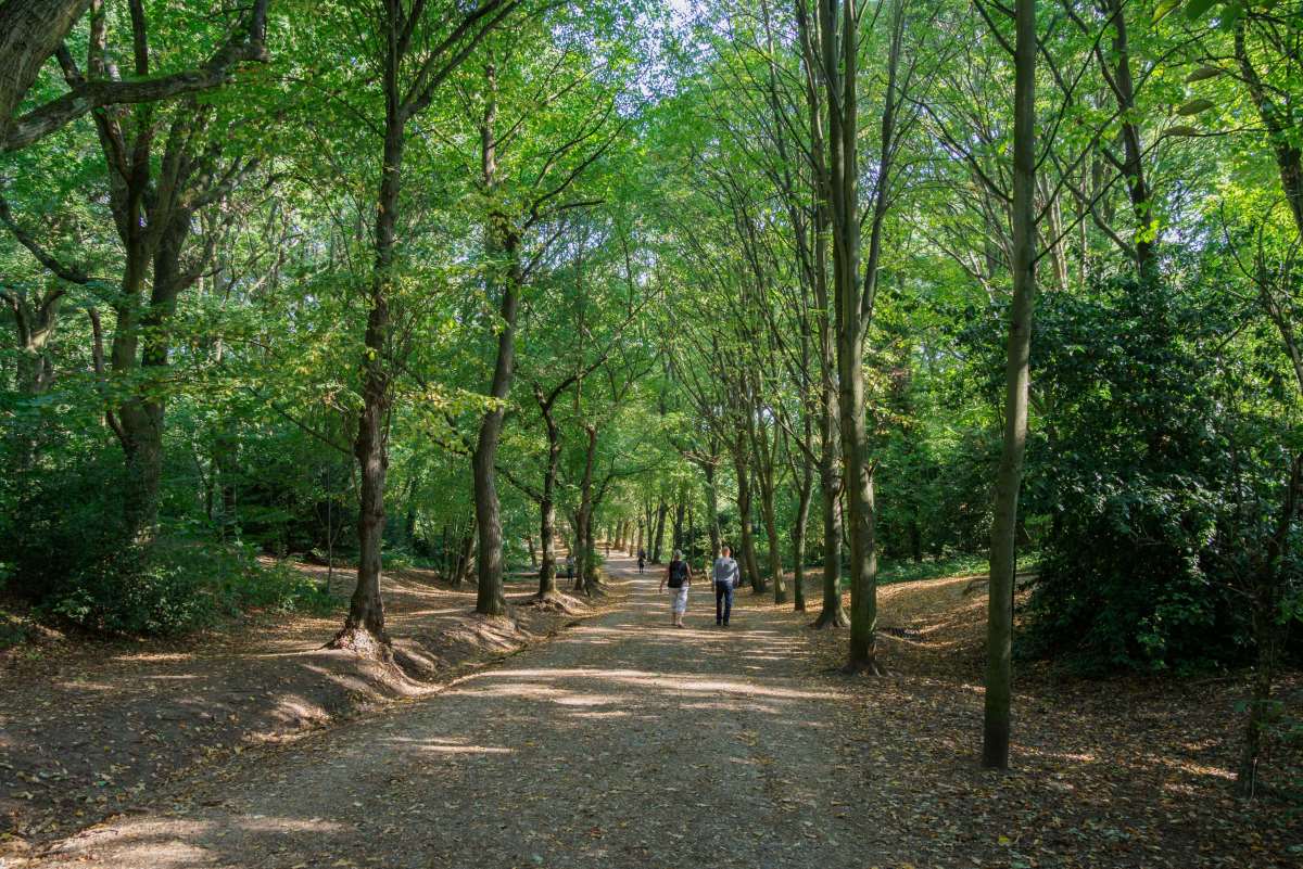 Skønne Haver og Parker i London - Hampstead Heath - Rejs Dig Lykkelig
