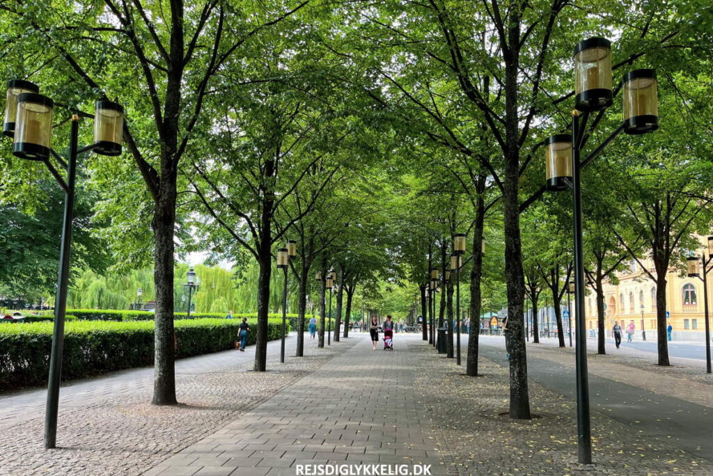 Kungsträdgården - Rejs Dig Lykkelig