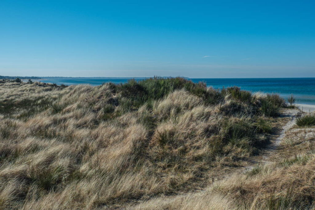 De Bedste Sommerhusområder på Sjælland - Rørvig - Rejs Dig Lykkelig