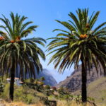 Find Billige Pakkerejser til Tenerife - Rejs Dig Lykkelig
