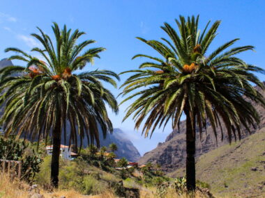 Find Billige Pakkerejser til Tenerife - Rejs Dig Lykkelig