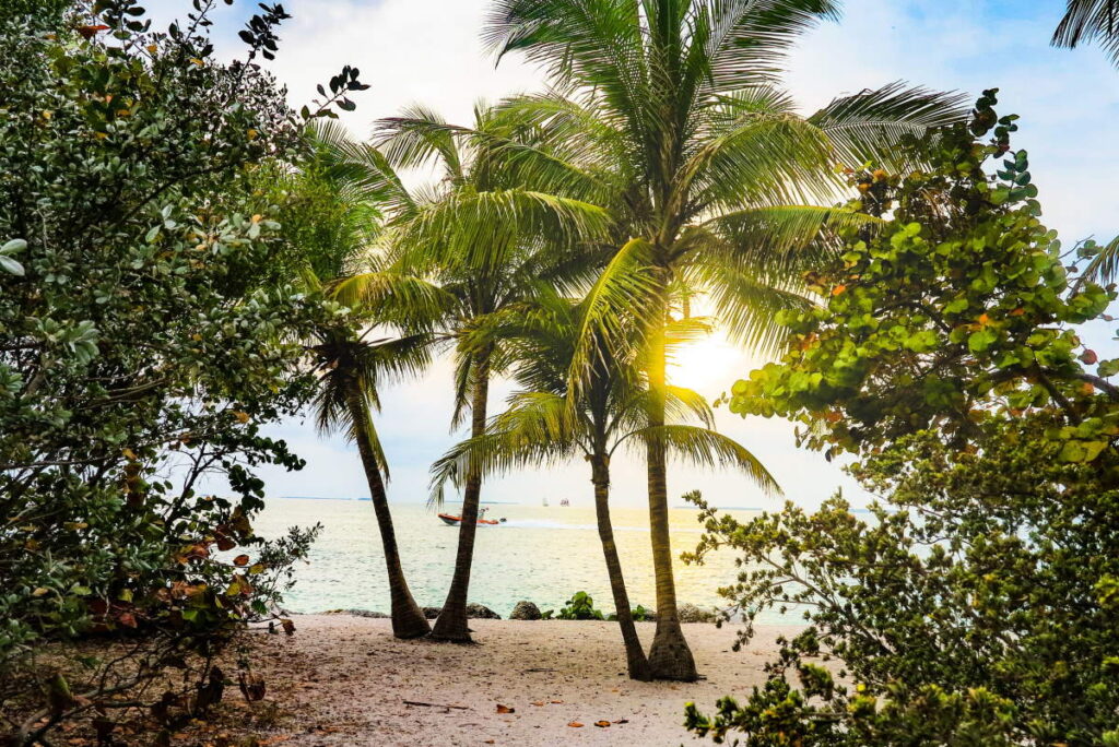 Varme Rejselande i Februar - Florida - Rejs Dig Lykkelig